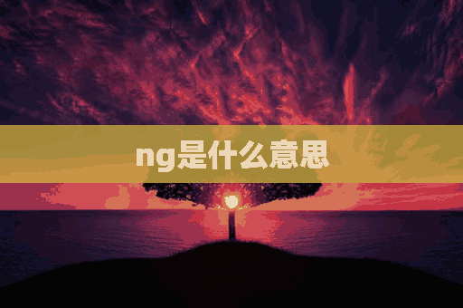 ng是什么意思